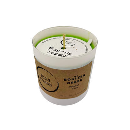 Bouldin Creek [Coconut + Lime] Soy Candle/Wax Melt