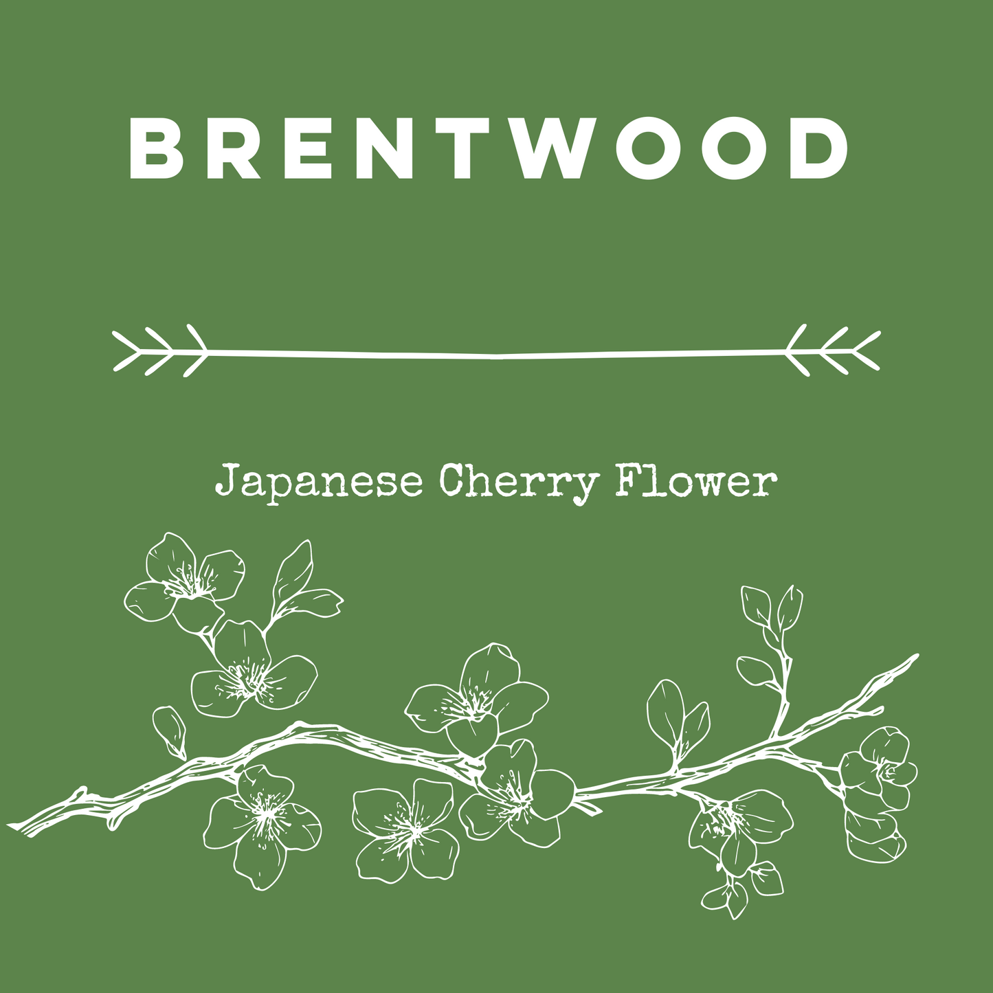 Brentwood [Japanese Cherry Flower] Diffuser Oil