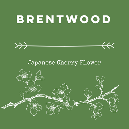 Brentwood [Japanese Cherry Flower] Soy Candle/Wax Melt