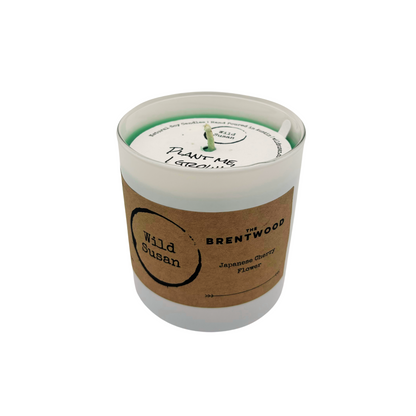 Brentwood [Japanese Cherry Flower] Soy Candle/Wax Melt