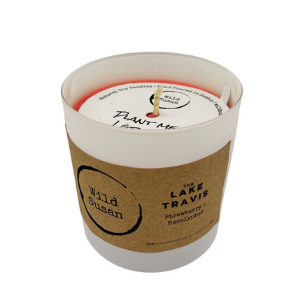 Lake Travis [Strawberry + Eucalyptus] Soy Candle / Wax Melt
