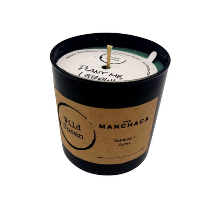 Manchaca [Oakmoss + Coral] Soy Candle / Wax Melt