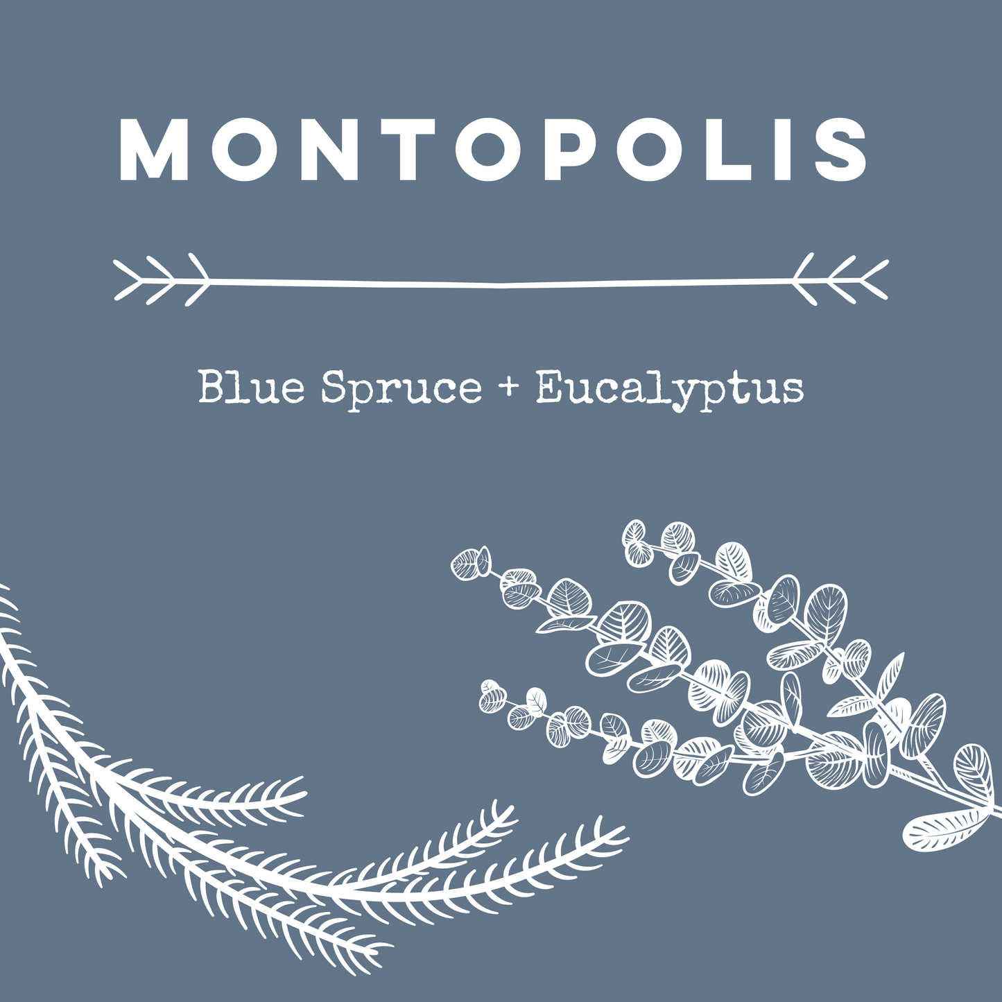 Montopolis [Blue Spruce + Eucalyptus] Soy Candle/Wax Melt