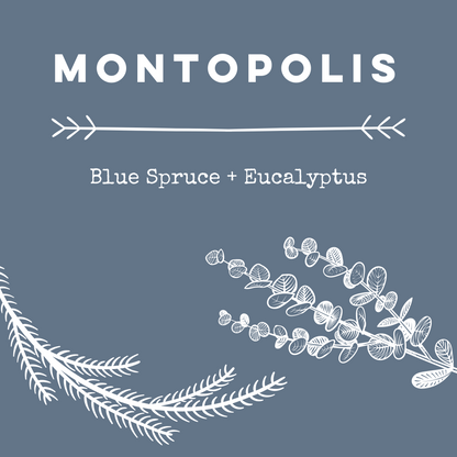 Montopolis [Blue Spruce + Eucalyptus] Soy Candle/Wax Melt