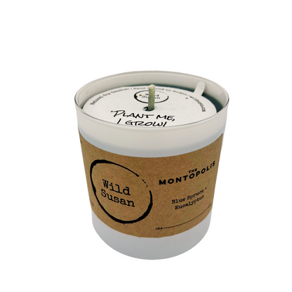 Montopolis [Blue Spruce + Eucalyptus] Soy Candle/Wax Melt
