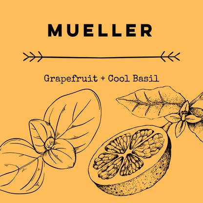 Mueller [Grapefruit + Cool Basil] Room Spray
