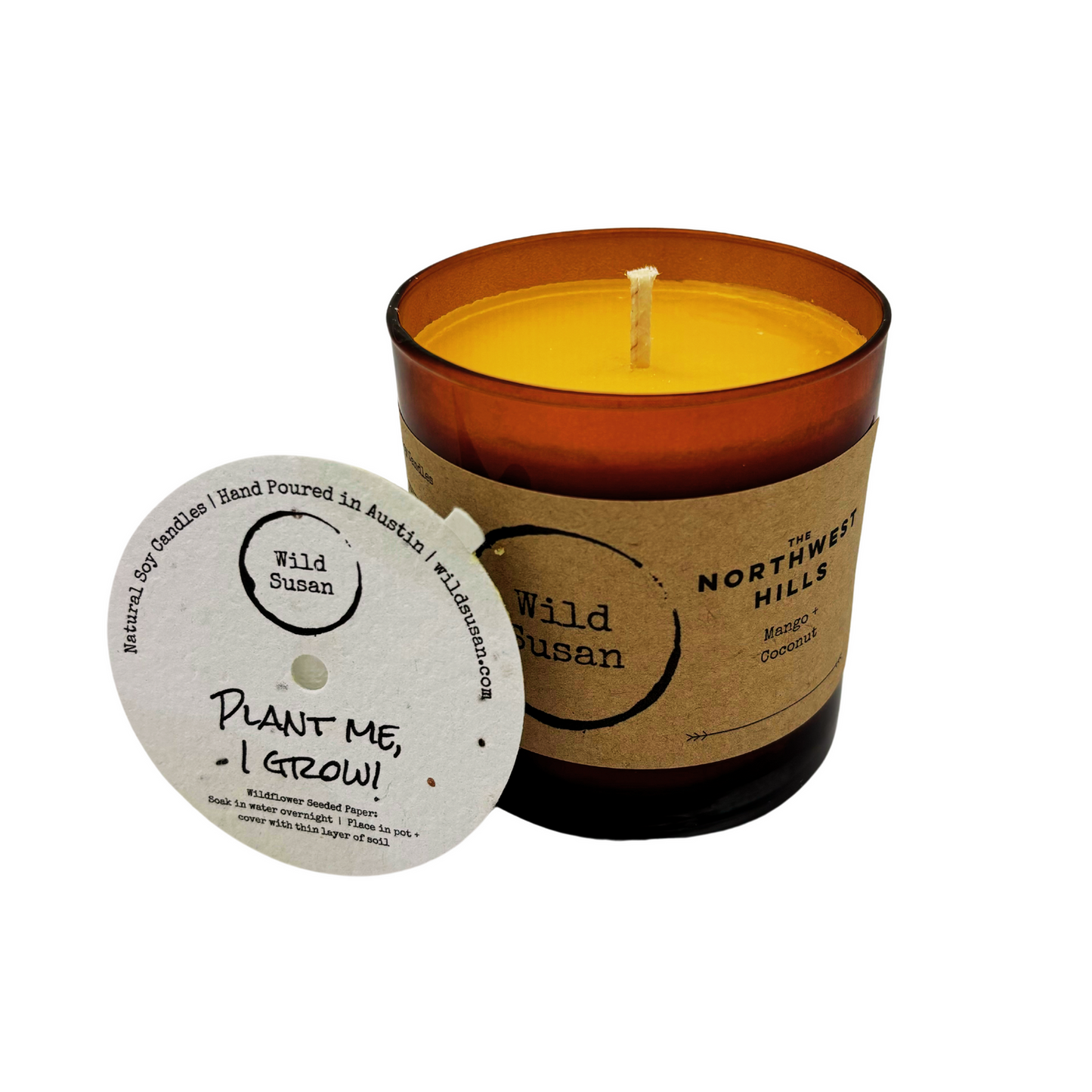 Northwest Hills [Coconut + Mango] Soy Candle / Wax Melt