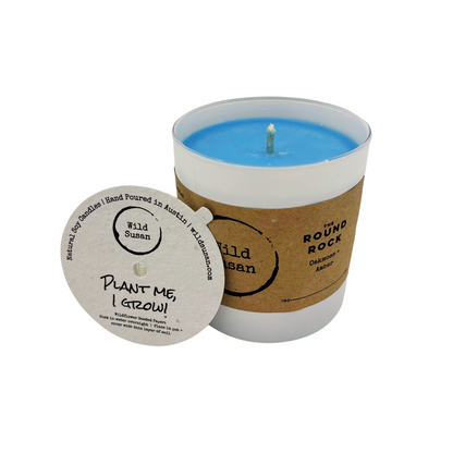 Round Rock [Oakmoss + Amber] Soy Candle/Wax Melt