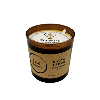 South Lamar [Cactus Flower + Jade] Soy Candle/Wax Melt