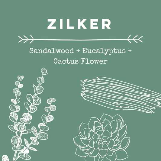 Zilker [Sandalwood + Eucalyptus + Cactus Flower] Incense Sticks